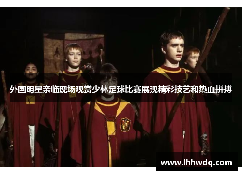外国明星亲临现场观赏少林足球比赛展现精彩技艺和热血拼搏